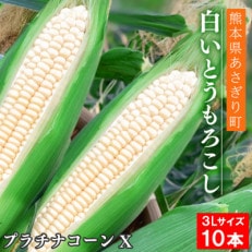 熊本県あさぎり町産白いとうもろこし「プラチナコーンX」3L&times;10本 【スイートコーン】