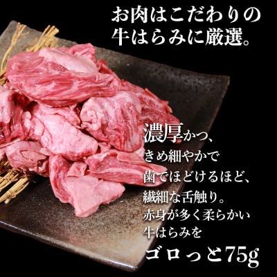 【訳あり】具だくさんやわらか牛ハラミカレー250g×6パック　計:約1.5kg