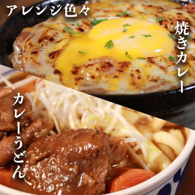 【訳あり】具だくさんやわらか牛ハラミカレー250g×6パック　計:約1.5kg