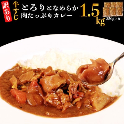 【訳あり】具だくさん やわらか牛すじカレー250g×6パック 計:約1.5kg