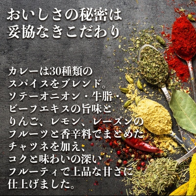 【訳あり】具だくさん やわらか牛すじカレー250g×6パック 計:約1.5kg