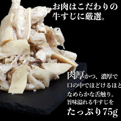【訳あり】具だくさん やわらか牛すじカレー250g×6パック 計:約1.5kg