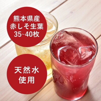 ポリフェノールたっぷりのしそドリンク10本セット(赤しそ200ml×10本)