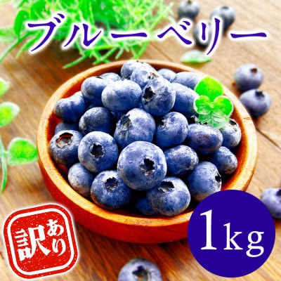 【訳あり】熊本県あさぎり町産 粒の大きさ不揃い 手摘みブルーベリー 生果実 約1kg