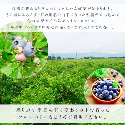 【訳あり】熊本県あさぎり町産 粒の大きさ不揃い 手摘みブルーベリー 生果実 約1kg
