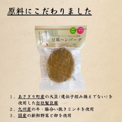 【毎月定期便】豆腐ハンバーグセット(100g×15個)全6回