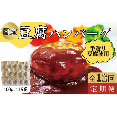 【毎月定期便】豆腐ハンバーグセット(100g×15個)全12回