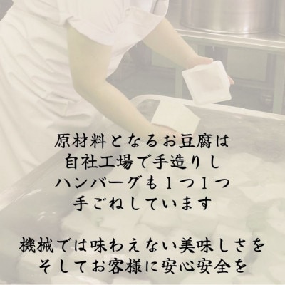 【毎月定期便】豆腐ハンバーグセット(100g×15個)全12回