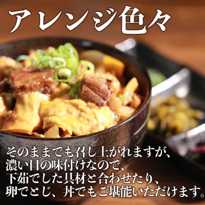 【毎月定期便】牛すじ土手煮込み(180g×8パック)全3回