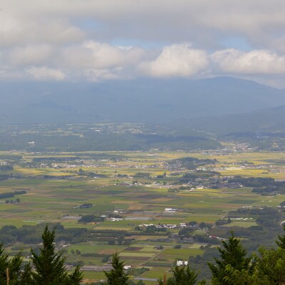 【令和5年産熊本県産 くまさんの輝き】白米10キロ