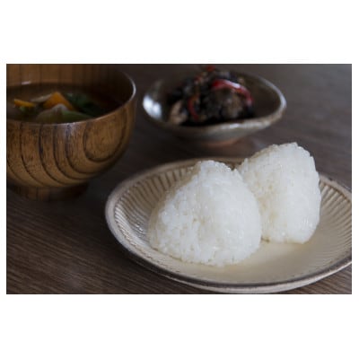 令和6年産　熊本県産ひのひかり(白米)(10キロ)