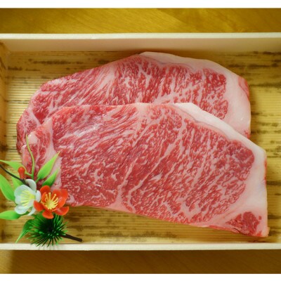 GI認証くまもとあか牛 サーロインステーキ 200g×2(あさぎり町)