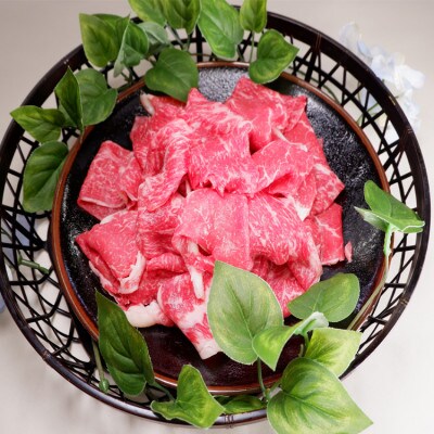 あか牛バラ切り落としセット(あか牛バラスライス500g、あか牛のたれ200ml付き)(あさぎり町)