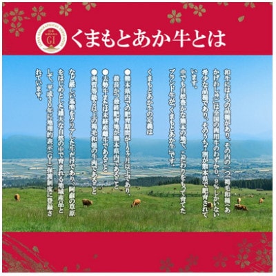 GIくまもとあか牛 特選焼肉 500g(あさぎり町)