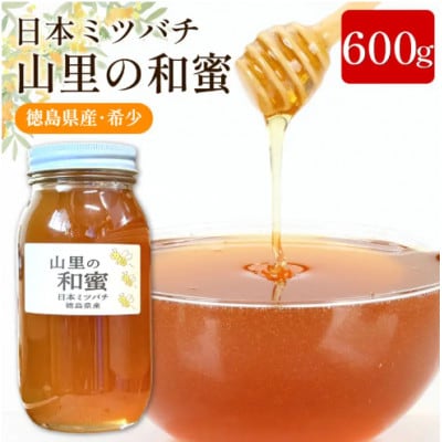 《600g》山里の和蜜(百花蜜)|日本みつばち