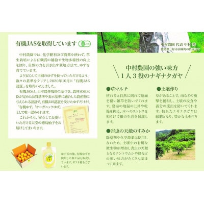 ゆずシロップ200ml 3本(有機ゆず100%・5倍希釈)