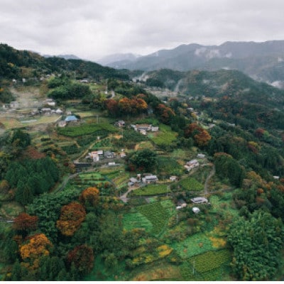 ゆずジュレ20個(有機ゆず100%使用)