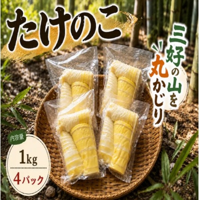 《1kg》たけのこ水煮(約250g～300g×4パック)徳島県三好市産　アク抜き済み|小分け便利
