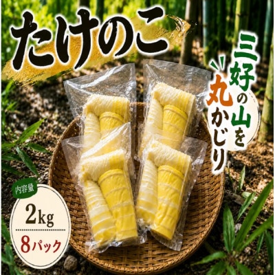 《2kg》たけのこ水煮(約250g～300g×8パック)徳島県三好市産　アク抜き済み|小分け便利