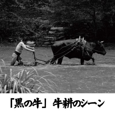 映画『黒の牛』応援企画!三芳菊コラボ限定日本酒(720ml)