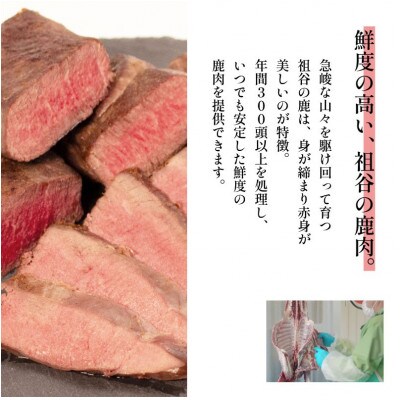 【徳島県三好市祖谷産】祖谷の地美栄 鹿モモブロック(ウチ)500g×2ブロック 計1kg