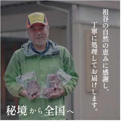 【徳島県三好市祖谷産】祖谷の地美栄 鹿肉ミンチ ひき肉 500g