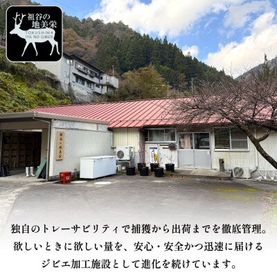 【徳島県三好市祖谷産】祖谷の地美栄 鹿肉ジャーキー(犬用) 50g×4パック