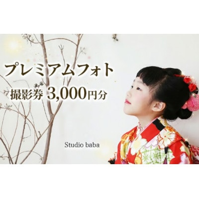 【補助券3000円分】プレミアムフォト撮影　スタジオ撮影/徳島県三好市内のロケーション撮影にご利用◎