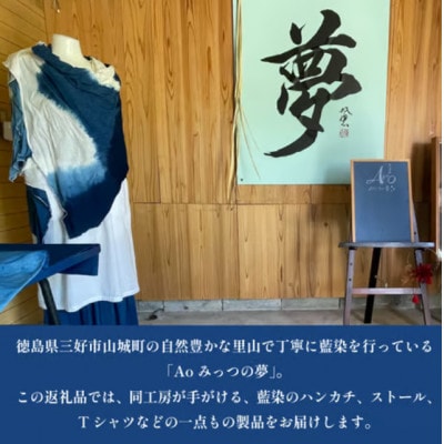 《ストール》Ao みっつの夢の藍染体験　1名様　徳島県三好市山城町