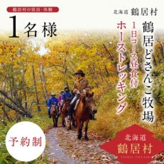 鶴居どさんこ牧場ホーストレッキング1日コース昼食付(1名様) | ふるさと納税のお礼品
