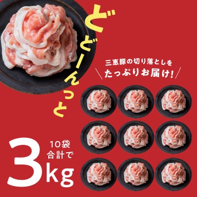豚肉(三恵豚)切り落し3kg盛り 300g×10パック 小分け 真空パック 北海道鶴居村
