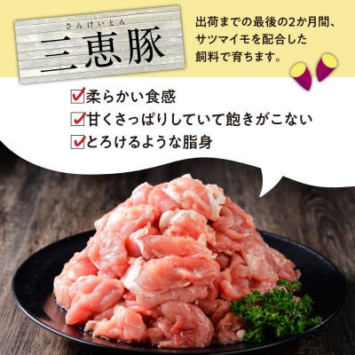豚肉(三恵豚)切り落し3kg盛り 300g×10パック 小分け 真空パック 北海道鶴居村