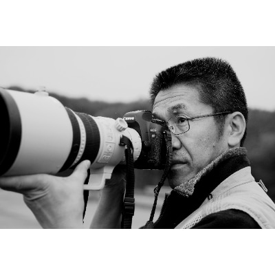 タンチョウ写真家  和田正宏  額付きオリジナルプリント「幻冬の朝」(サイン入り) 北海道鶴居村