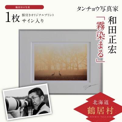タンチョウ写真家 和田正宏 額付きオリジナルプリント 霧染まる サイン入り お礼品詳細 ふるさと納税なら さとふる