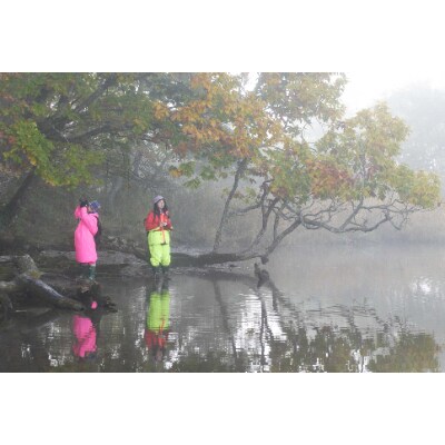 鶴居村モール温泉HOTEL TAITO宿泊券「1泊2食付釧路湿原国立公園秘境ガイドプラン(1名様)」