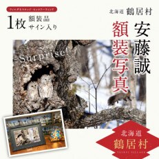 【 Surprise ! 】撮影:安藤誠 額装写真