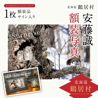 【 Surprise ! 】撮影:安藤誠 額装写真