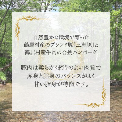 北海道鶴居村三恵豚と牛肉の合挽ハンバーグ(5個セット) 
