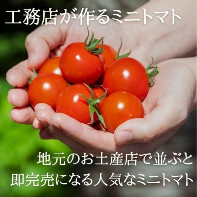 【北海道 鶴居村】つるいトマト ミニトマト1kg   鶴居村の工務店が作りました!　とまと