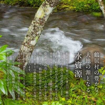 【毎月定期便】鶴居村クラフトビール 　定番4種各1本+道東ビール2本セット全3回