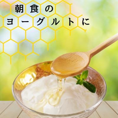 北海道鶴居村産 蜂蜜　TSURUI VILLAGE HONEY 百花蜜　200g×2個