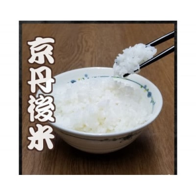 【希少】京丹後米～水と文化が育んだ～野間のこしひかり 精米 3kg 安心安全なコシヒカリ