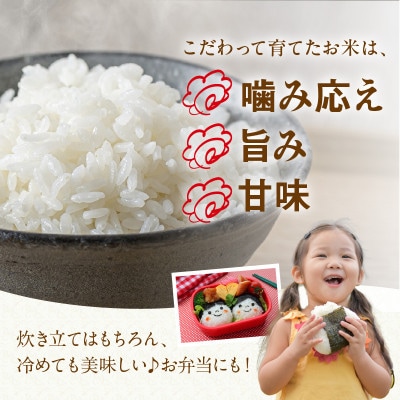 【希少】京丹後米～水と文化が育んだ～野間のこしひかり 精米 2kg 安心安全なコシヒカリ