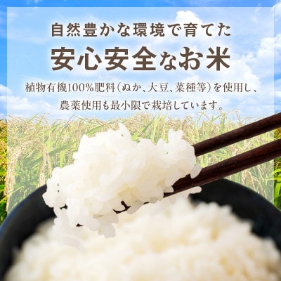 京丹後米～水と文化が育んだ～こしひかり 精米 2kg 環境に優しいこだわりの肥料で育てたコシヒカリ