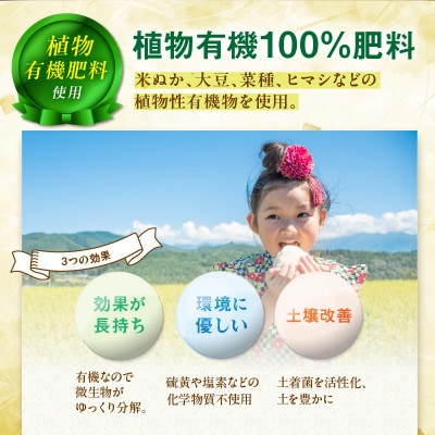 京丹後米～水と文化が育んだ～こしひかり 精米 2kg 環境に優しいこだわりの肥料で育てたコシヒカリ
