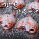 のどぐろ熟成一汐(ノドグロ、のど黒、アカムツ) 400g級使用　仕上がり後300g以上　3尾セット