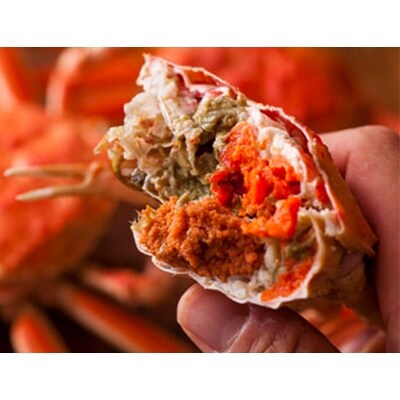 内子外子が美味!　茹でたて　セイコガニ(セコ蟹)(香箱ガニ)(こっぺ)　大中サイズ　5匹セット