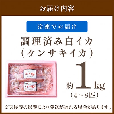 BBQにぴったり!白イカ(ケンサキイカ) 調理済み 正味1kg入り(4~8匹) ※小分け真空包装