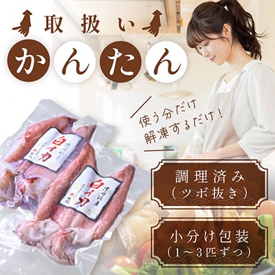 BBQにぴったり!白イカ(ケンサキイカ)　調理済み　正味1.5kg入り(6～12匹)※小分け真空包装