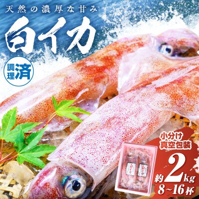 BBQにぴったり!白イカ(ケンサキイカ)　調理済み　正味2kg入り(8～16匹)　※小分け真空包装